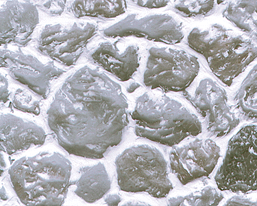 Image for 570-91591 Sht Rd Fld Stn Bge .81 2/