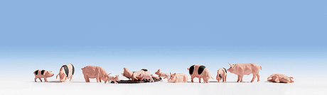 Image for 528-15712 Pigs 12/