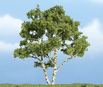 Woodland Scenics 1601 Ready Made Premium Trees(TM) - Deciduous -- Birch - 3-7/8"  9.8cm A Scale