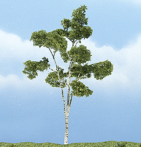 Woodland Scenics 1616 Ready Made Premium Trees(TM) - Deciduous -- Paper Birch - 4-1/2" 11.4cm A Scale