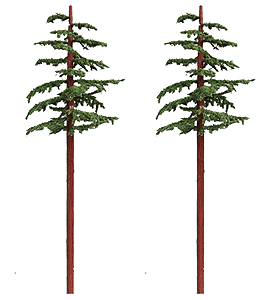 Image for 295-T43 Redwood Lrg 10-11" 2/