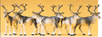 Image for 590-20394 Reindeer 6/
