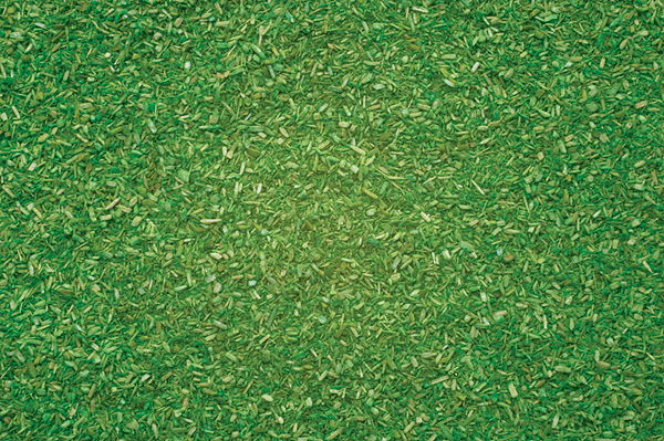 Image for 528-8410 Scttr Mtrl Light Grn  42g