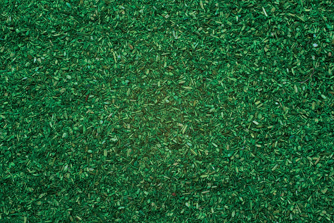 Image for 528-8376 Scatter Forest Floor 200g