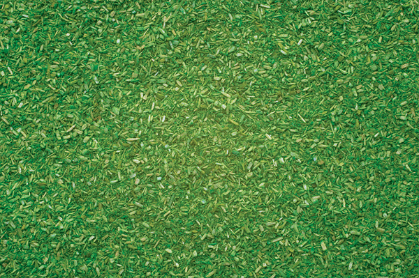 Image for 528-8411 Scttr Mtrl Light Grn 165g