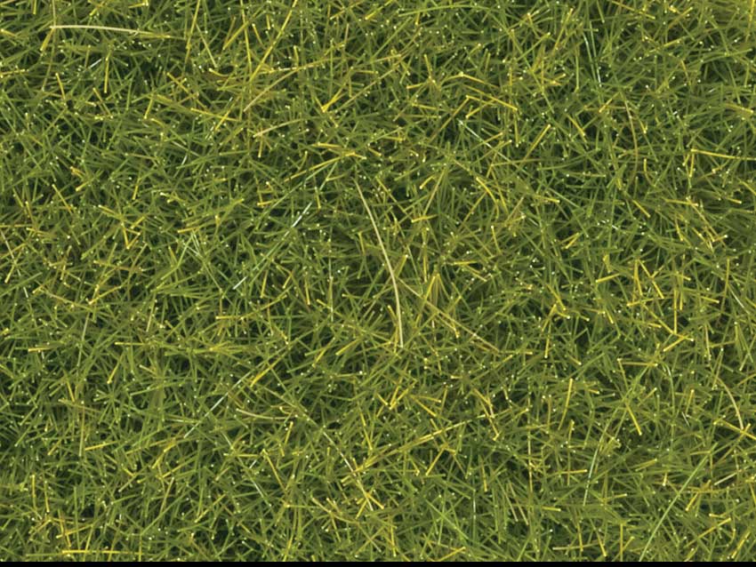 Image for 528-8363 Scatter Grass Light Green