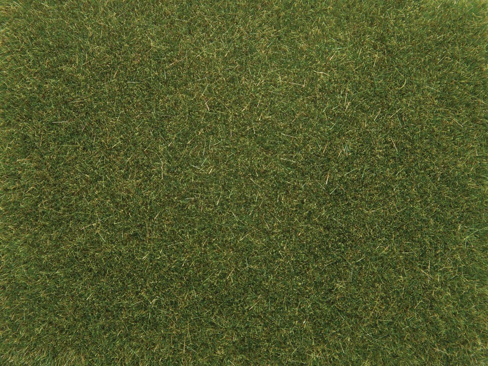 Image for 528-8364 Scatter Grass Med Green