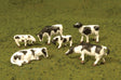 Image for 160-33103 Cows Black & White 6/
