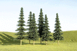 Image for 160-32104 Spruce Trees 3-4" 9/