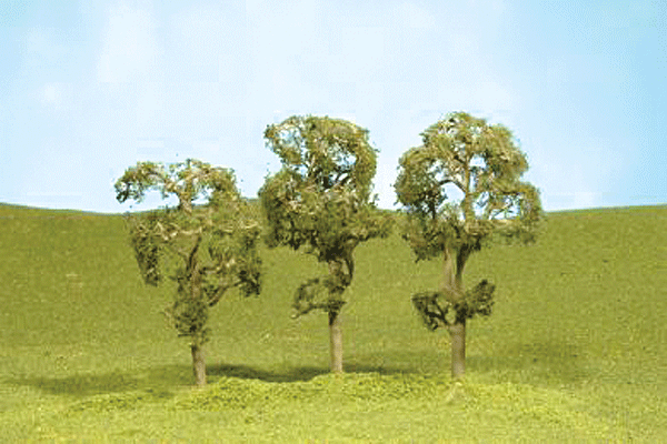 Image for 160-32111 Maple Trees 2.5-2.75" 4/