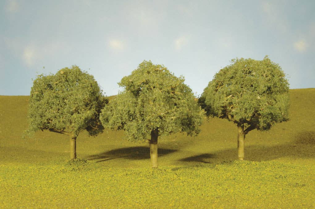 Image for 160-32113 Oak Trees 2.25-2.5" 4/