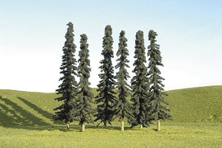 Image for 160-32156 Conifer Trees 5-6" 24/