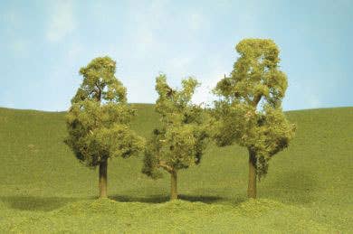 Image for 160-32209 Sycamore Trees 8" 2/