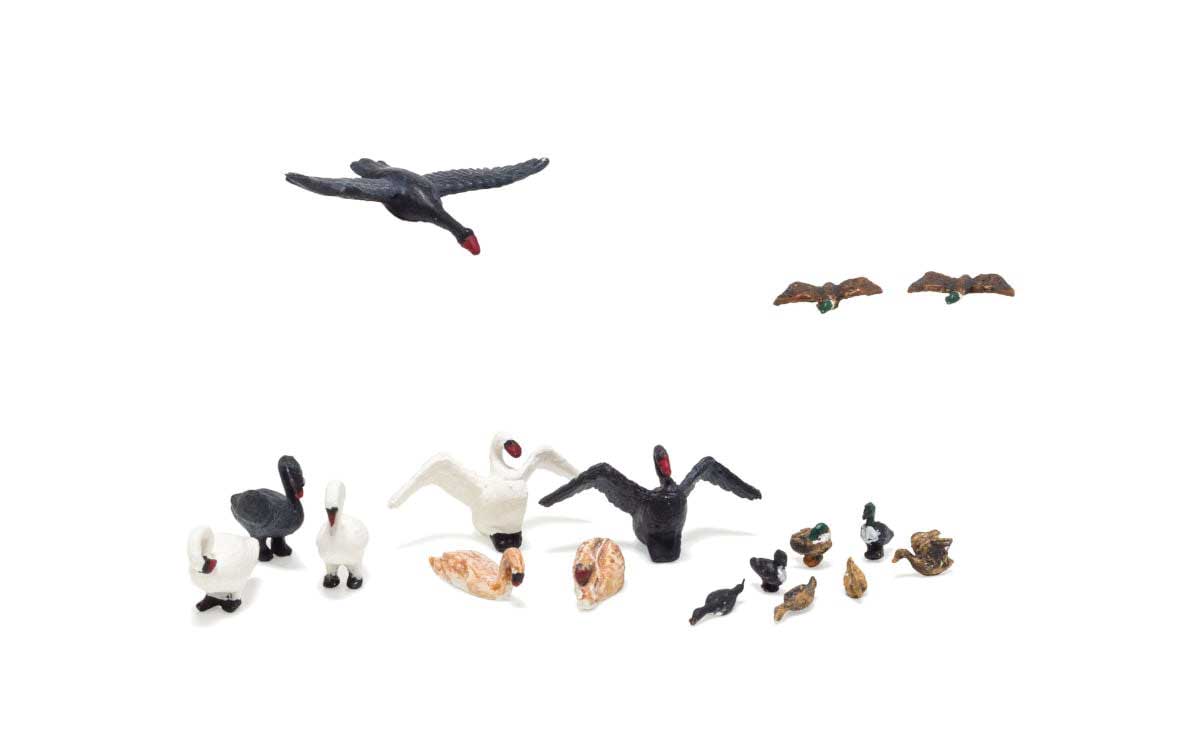 Image for 785-1969 Ducks & Swans 17/