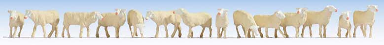 Image for 528-15749 Sheep 14/