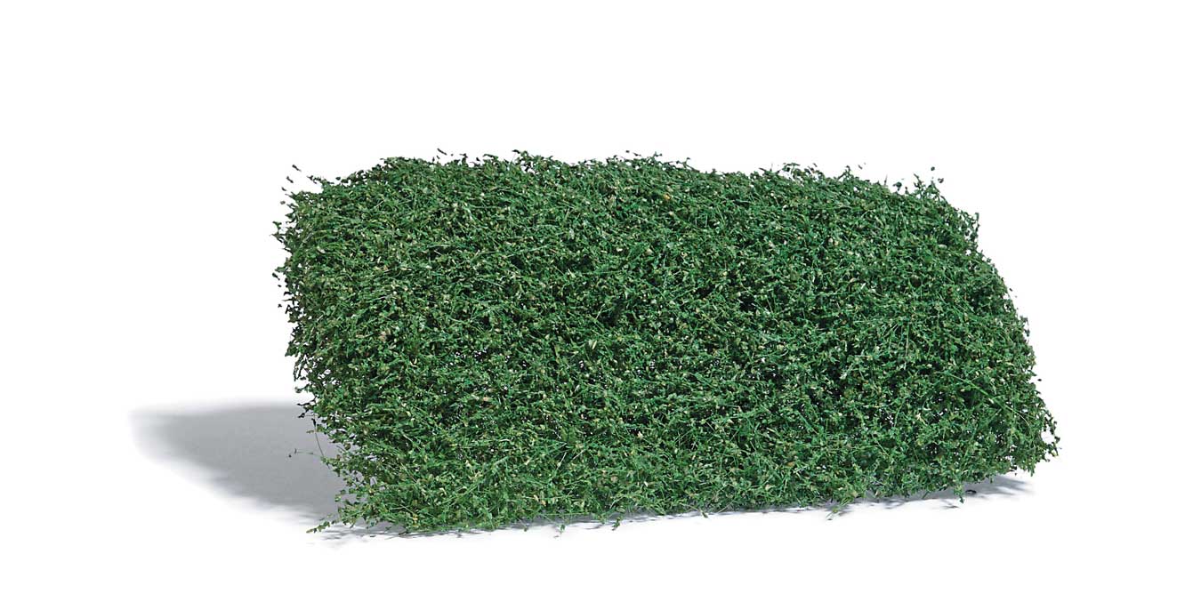 Image for 189-3598 Shrubs Summer