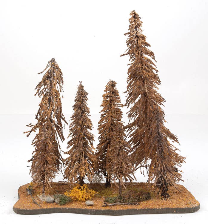 Image for 295-AST1 Spruce Pines 3"-9" 7/