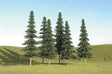 Image for 160-32004 Spruce Trees 5-6" 6/