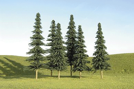 Image for 160-32158 5-6" Spruce Trees 24/