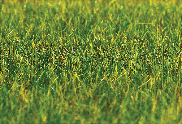 Image for 272-180485 Ground Cover Fibers Grass