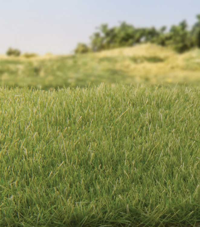 Image for 785-6572 All Game 4mmMd Grn Static