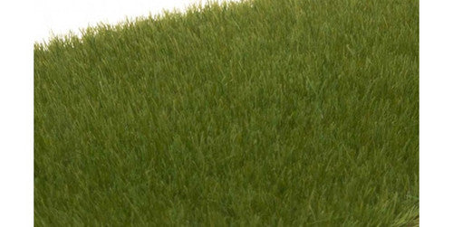 Woodland Scenics 617 Static Grass - Field System -- Dark Green 1/8"  4mm Fibers A Scale