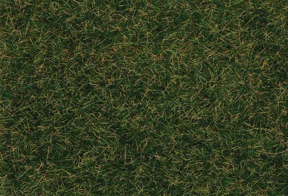 Image for 272-170208 Wild Grass Dk Green 30g