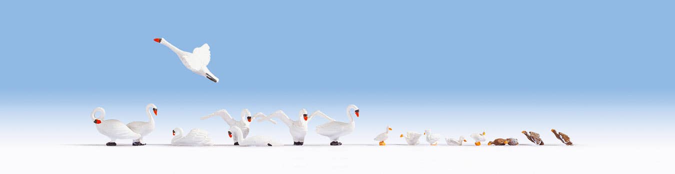Image for 528-15774 Swans & Ducks 17/