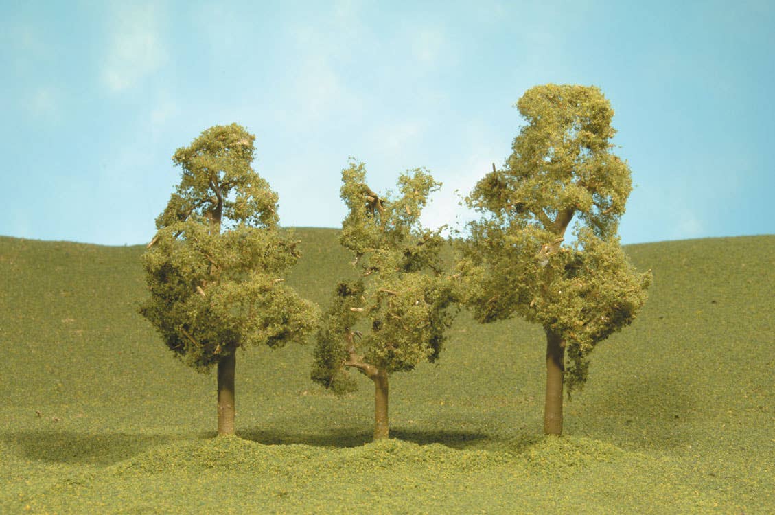 Image for 160-32009 Sycamore Trees 3-4" 3/
