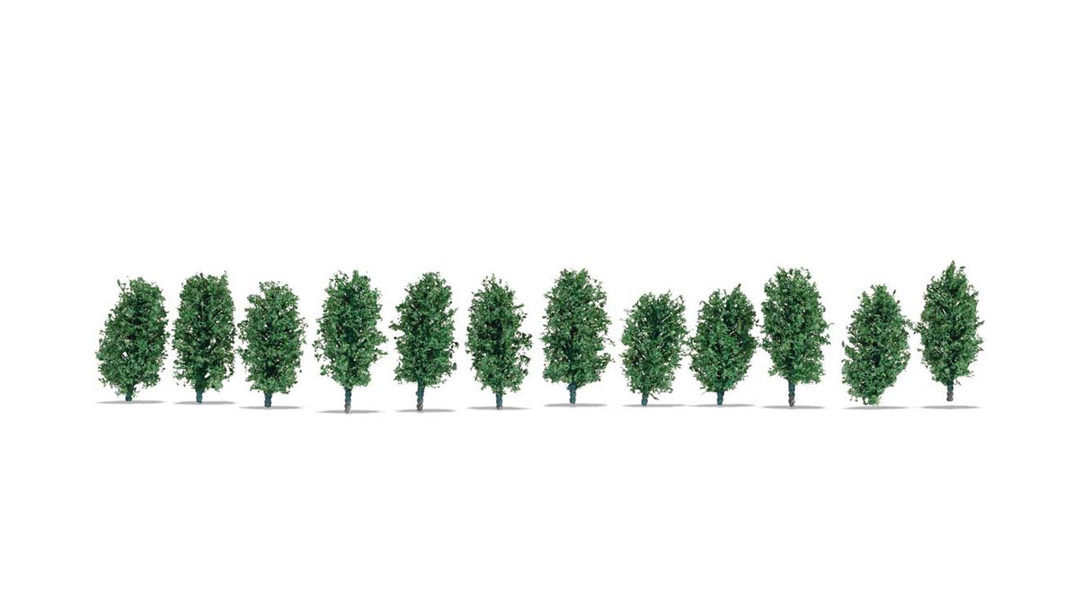 Image for 528-21547 Thuja Hedge  12/
