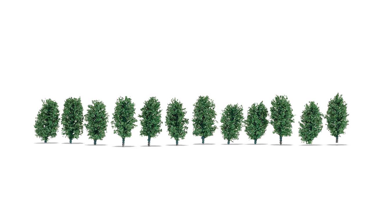 Image for 528-21547 Thuja Hedge  12/