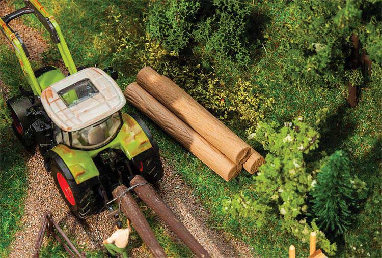 Image for 272-180986 Tree Trunks /16