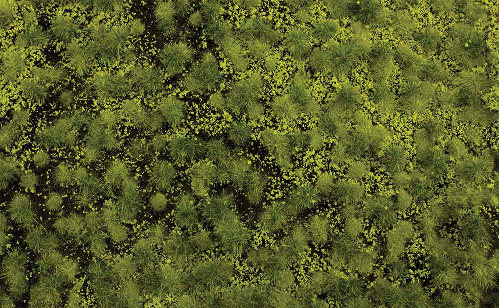 Image for 160-32921 Tufted Grass Light Grn