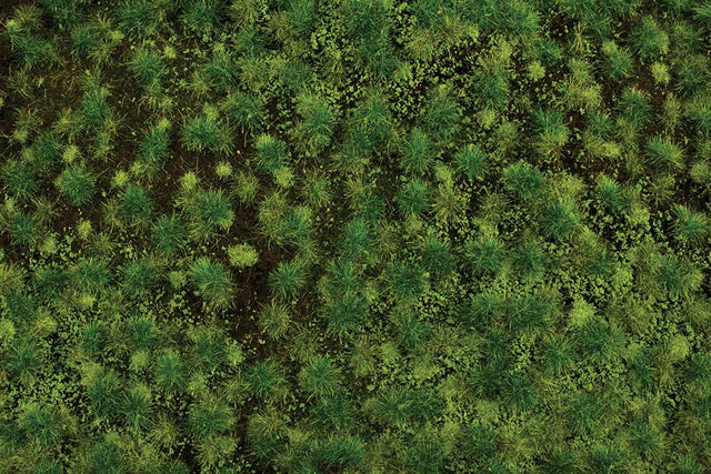 Image for 160-32922 Tufted Grass med green
