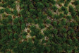 Image for 160-32924 Tufted Grass Wstrn Range