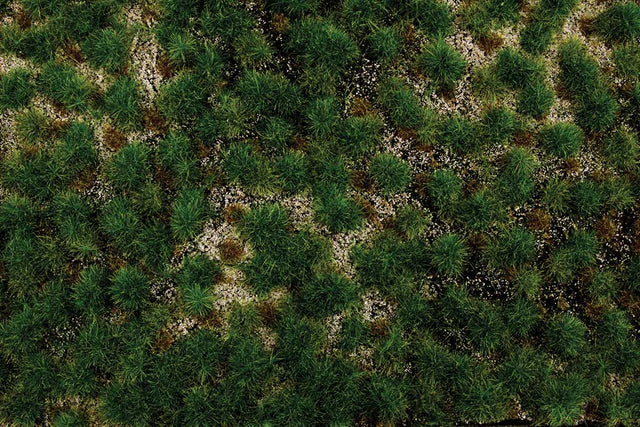 Image for 160-32924 Tufted Grass Wstrn Range