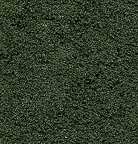 Woodland Scenics 138 Underbrush Clump-Foliage  18 cu.in. -- Forest Green A Scale