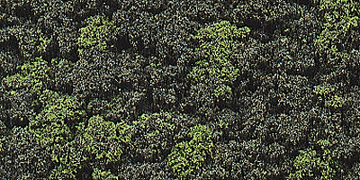 Woodland Scenics 139 Underbrush Clump-Foliage  18 cu.in. -- Forest Blend A Scale