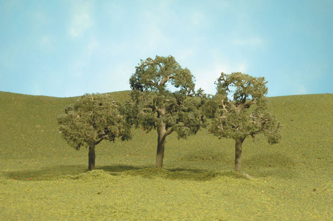 Image for 160-32007 Walnut Trees 2.5-3.5" 3/