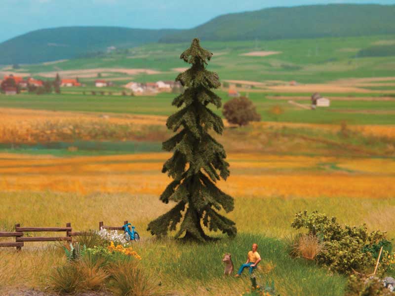 Image for 528-21919 Spruce Tree 10.5cm