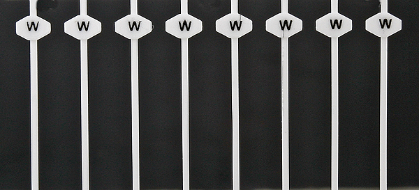 Image for 293-8182 Whistle Post Early 32/