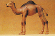 Image for 590-47532 Young camel w/1-hump