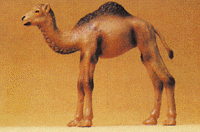 Image for 590-47532 Young camel w/1-hump