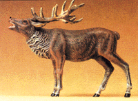 Image for 590-47701 Stag bellowing