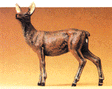 Image for 590-47702 Doe standing