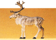 Image for 590-47538 Reindeer Standing