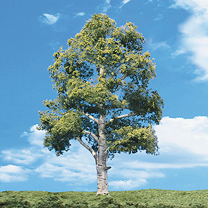 Woodland Scenics 3538 Woodland Classic Trees(R) Ready Made - Waters Edge -- 7 to 8" 17.7 to 20.3cm Tall pkg(2) A Scale