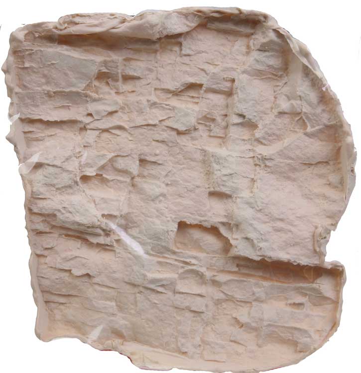 Image for 295-RM2 Rock mold medium
