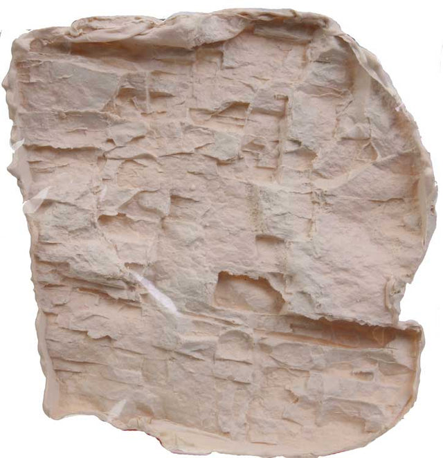 Image for 295-RM2 Rock mold medium