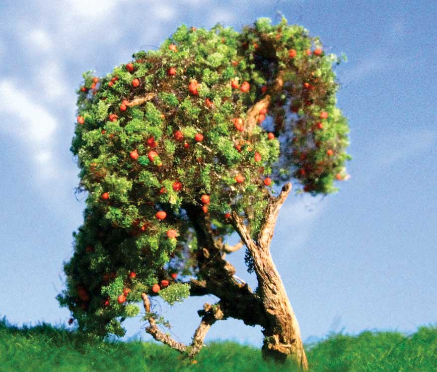 Image for 295-T23 Apple Tree Sml 3-5" 2/